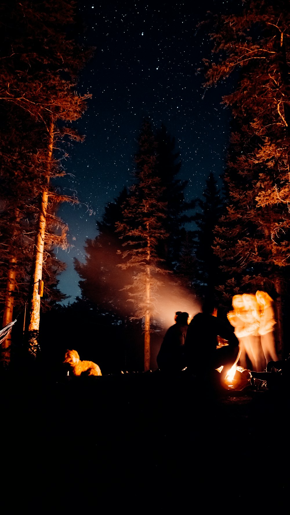 Menschen, die nachts auf einem Stuhl in der Nähe des Lagerfeuers sitzen