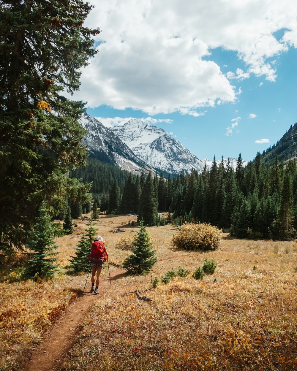 person in red jacket walking on dirt road near green trees during daytime