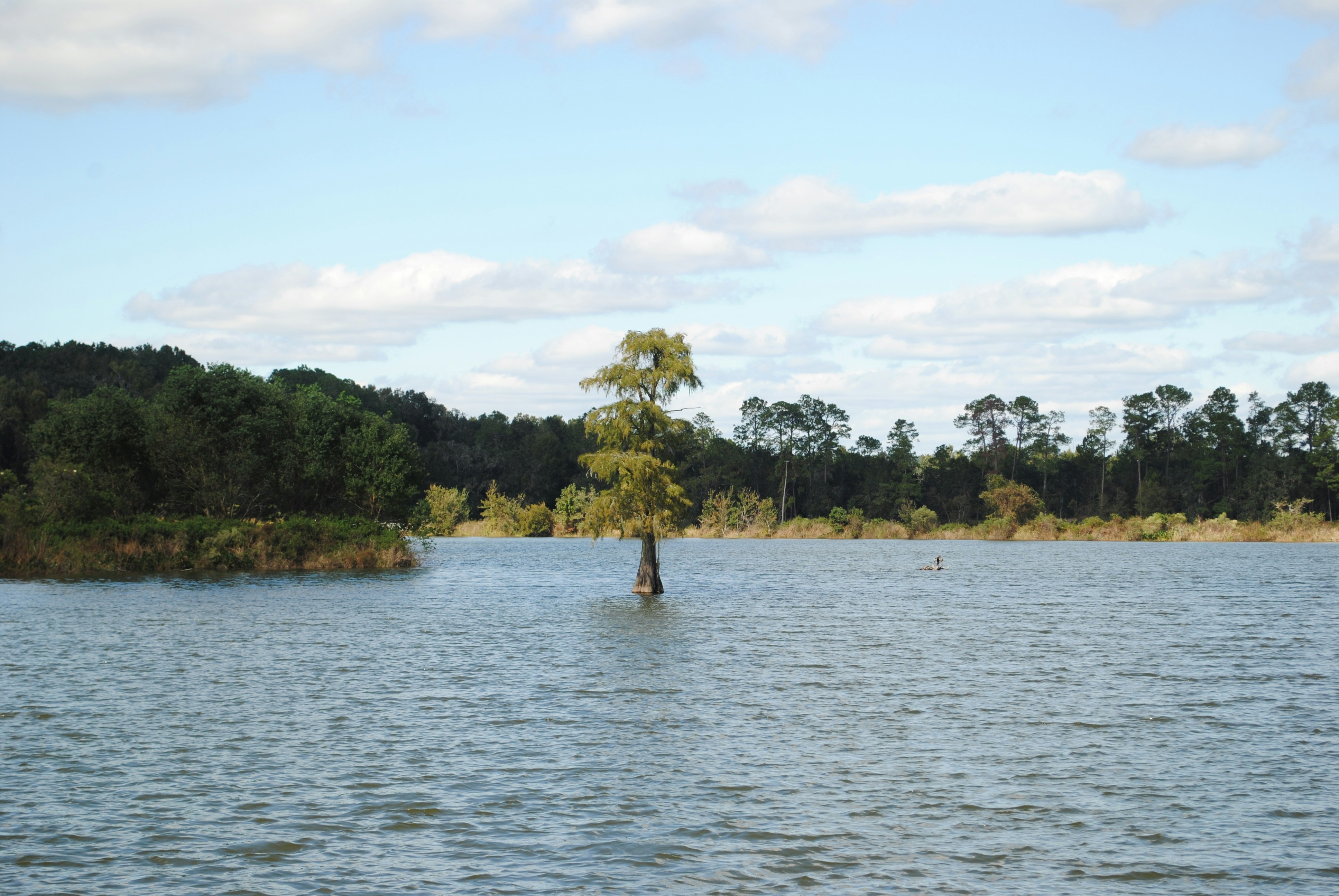 Photo by kristin_craze