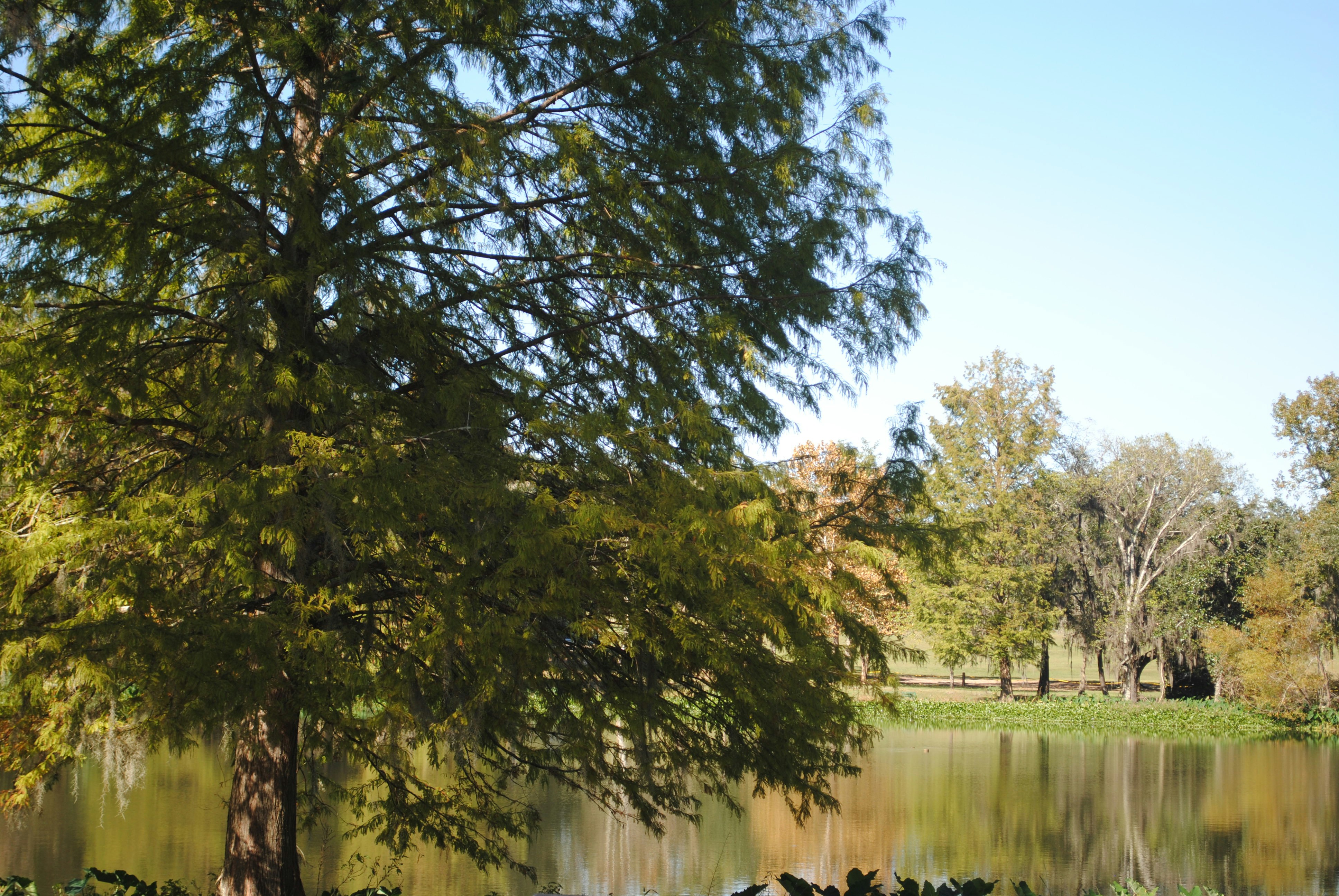 Photo by kristin_craze