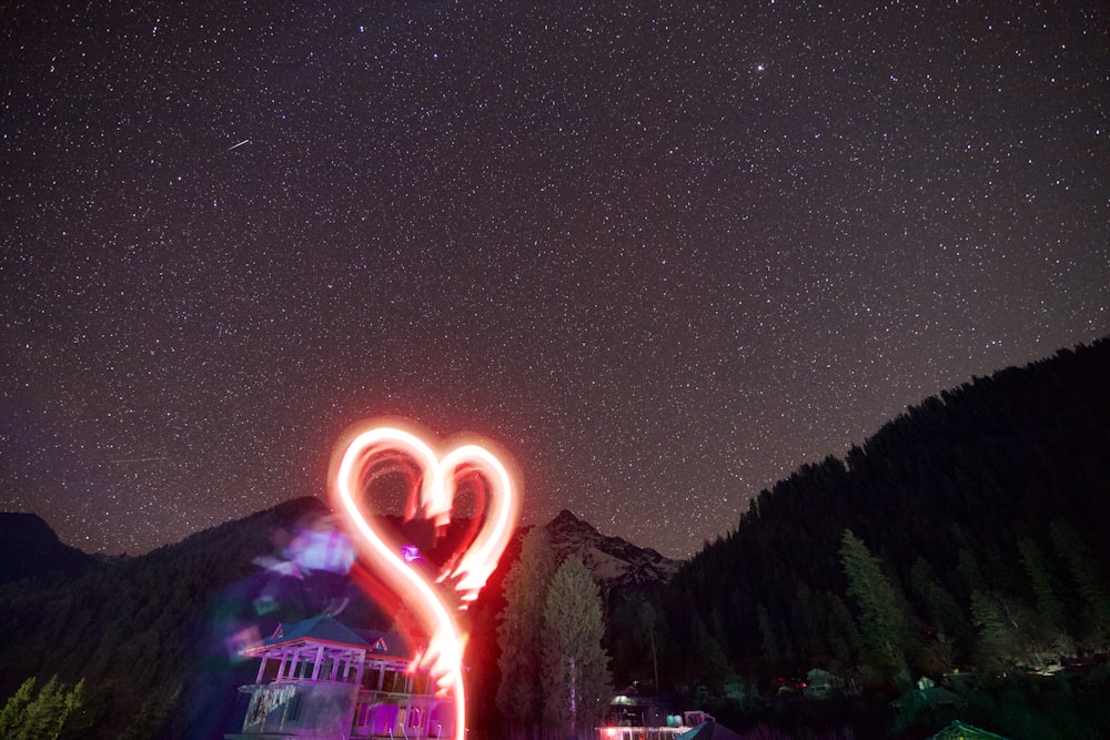 rotes Licht mitten im Wald während der Nacht