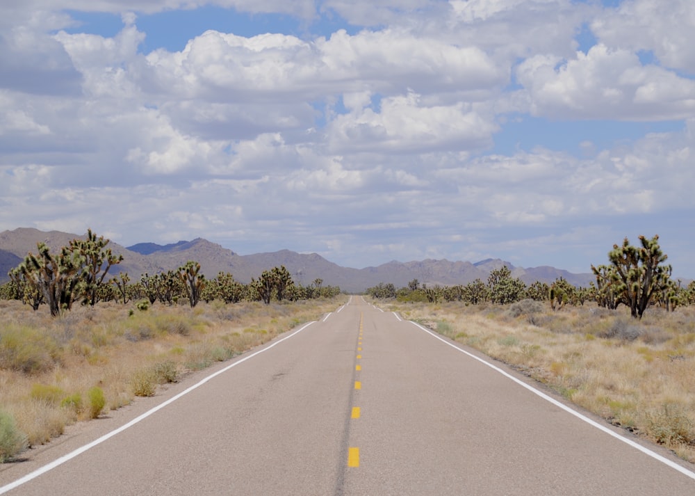 gray concrete road between green grass field under white clouds and blue sky during daytime