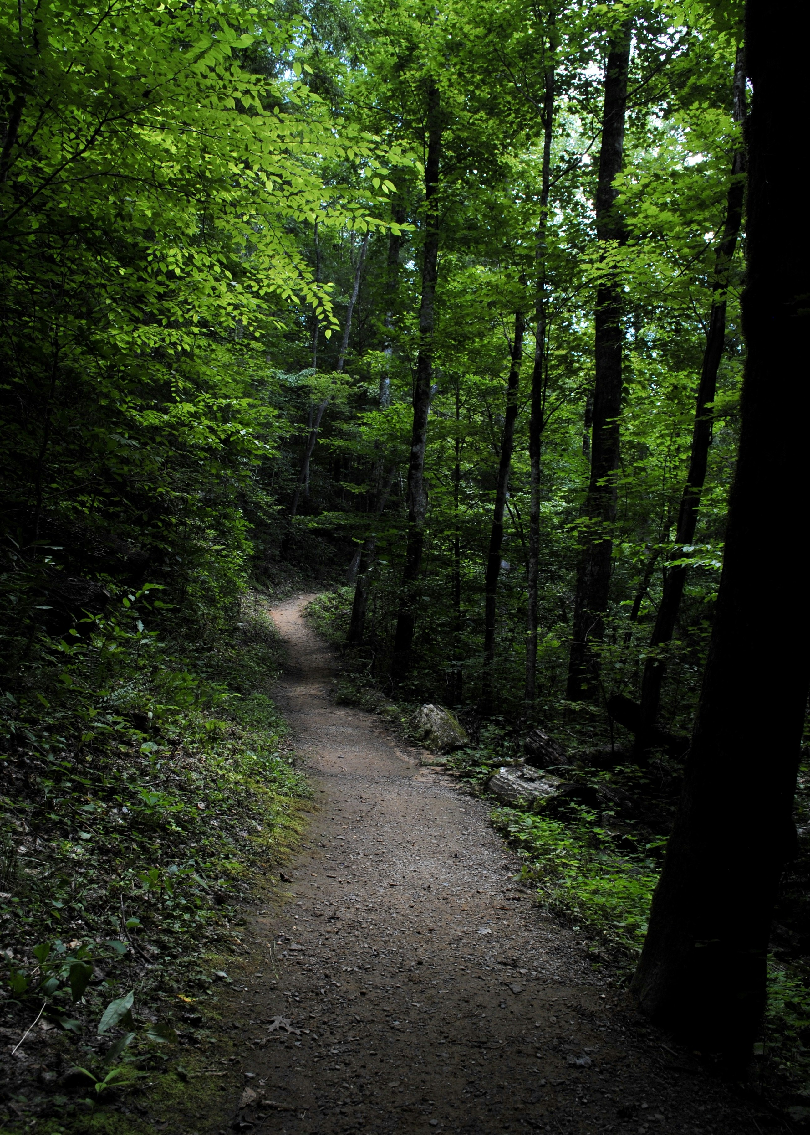 Photo by alixgreenman