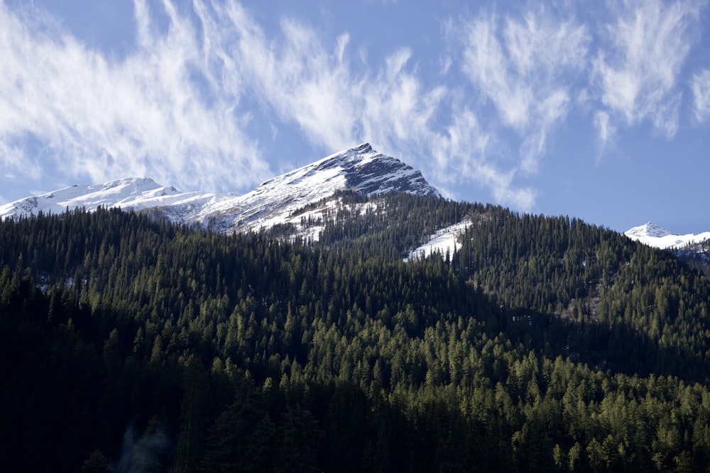 árvores verdes perto da montanha coberta de neve sob o céu azul durante o dia