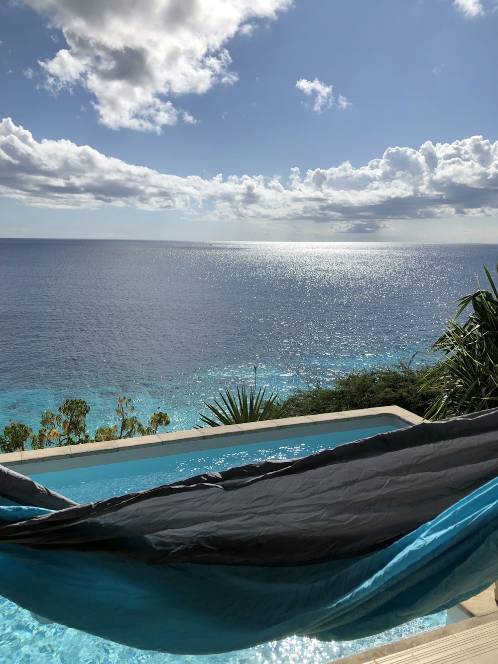 Palmera verde cerca del mar azul bajo el cielo azul durante el día