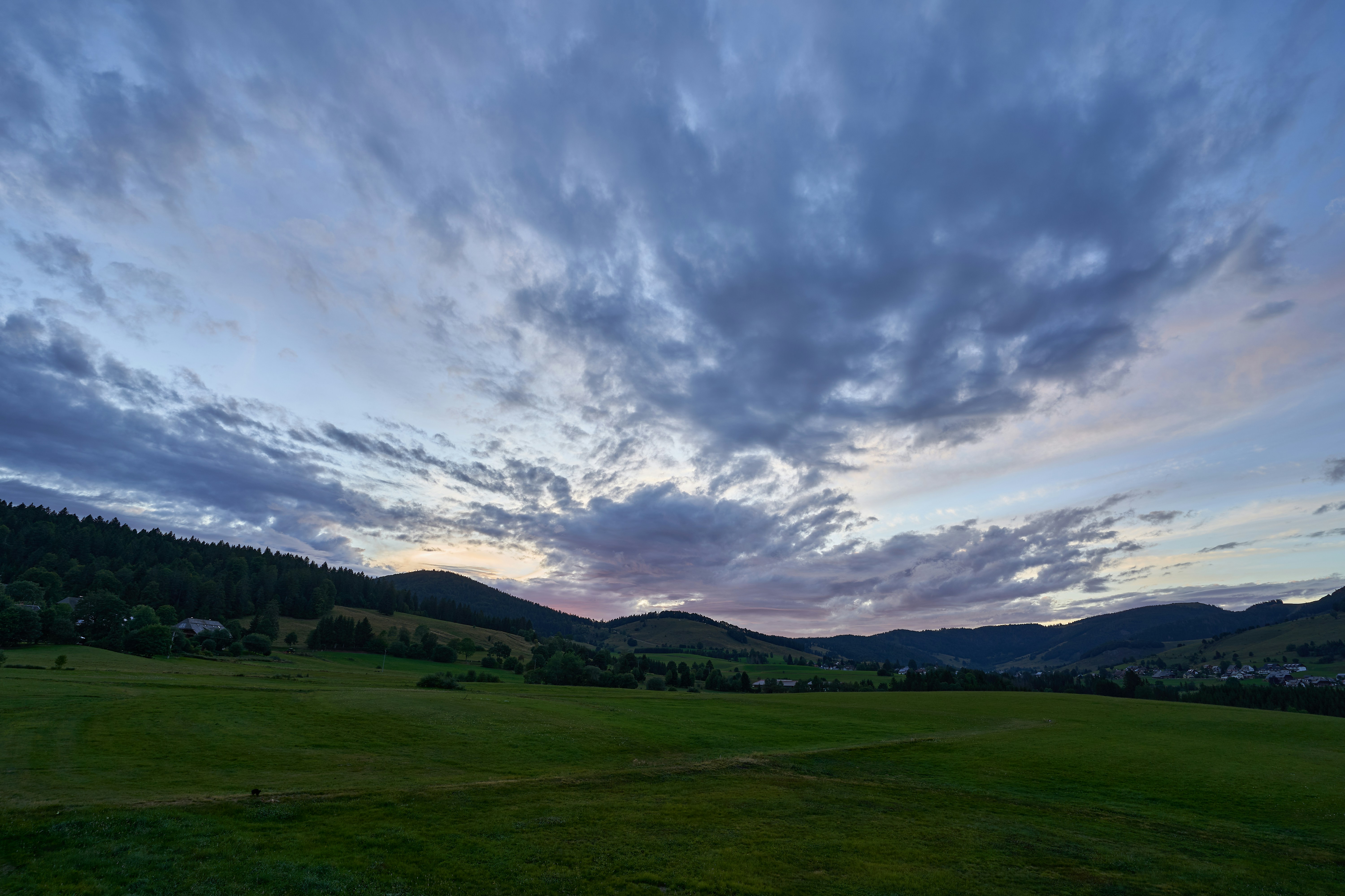 Photo by wolfgang_hasselmann