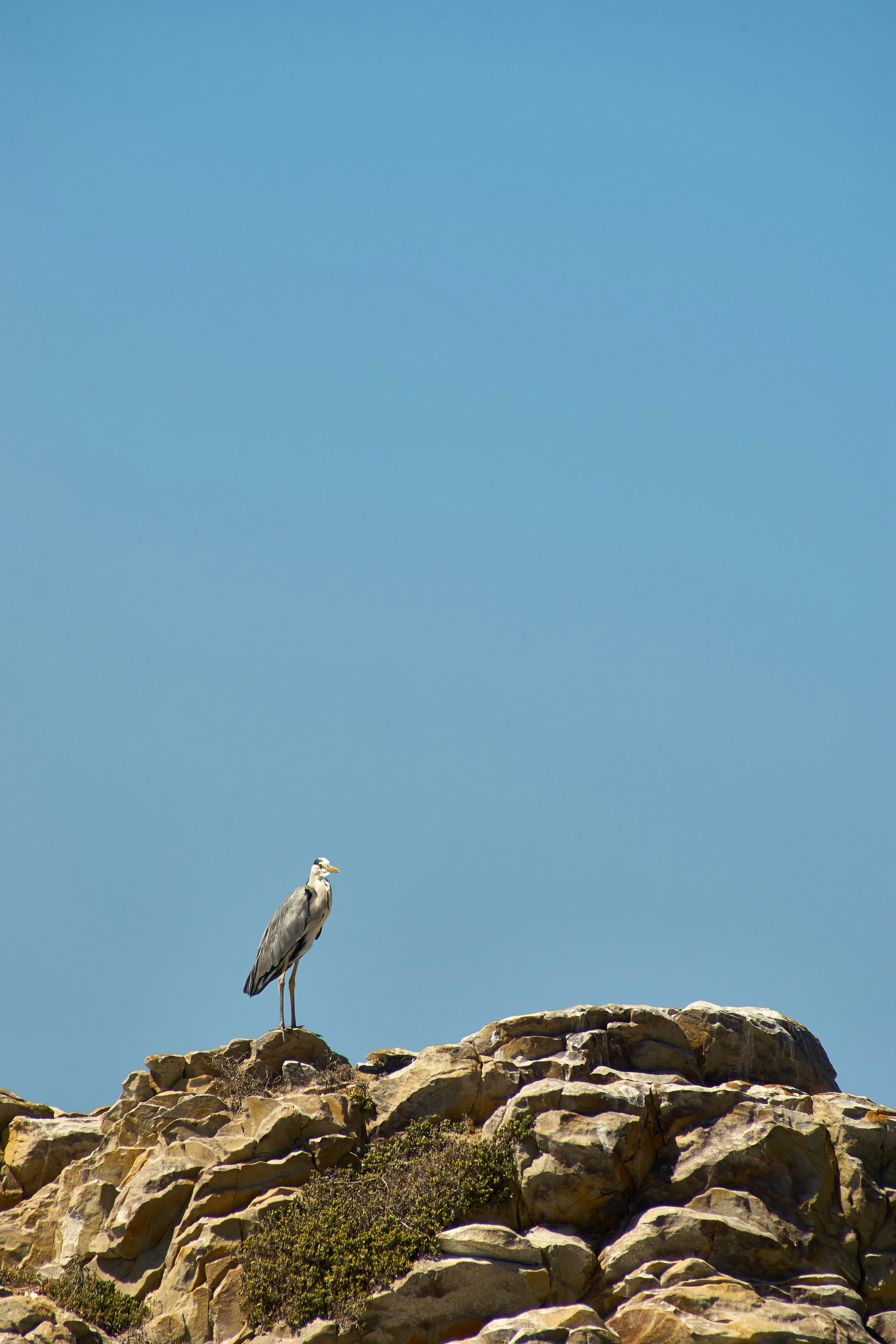 Photo by wolfgang_hasselmann