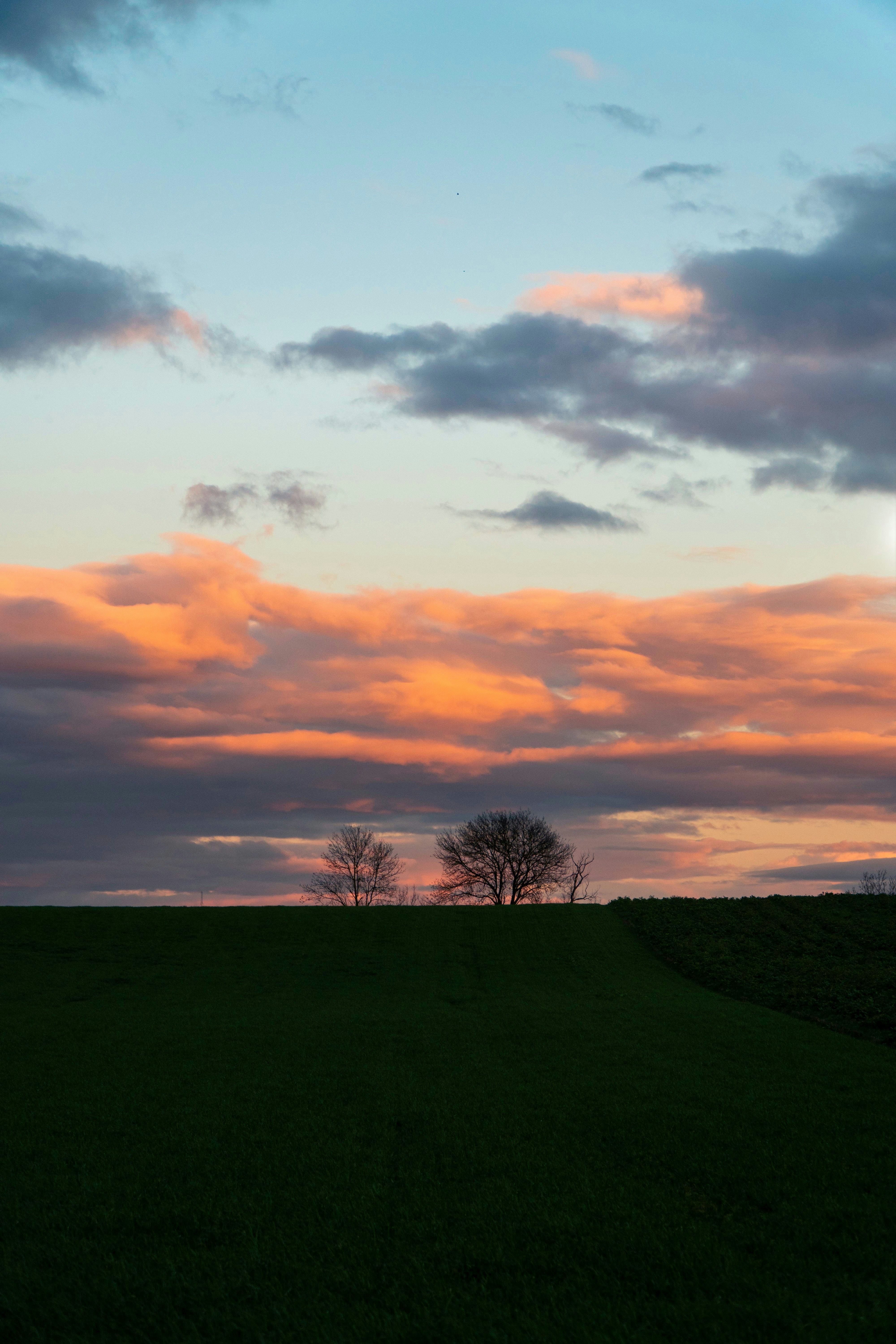 Photo by bastien_nvs