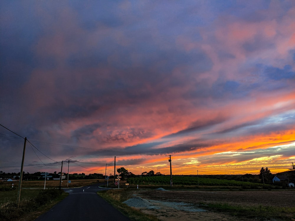 silhouette of trees and grass field during sunset