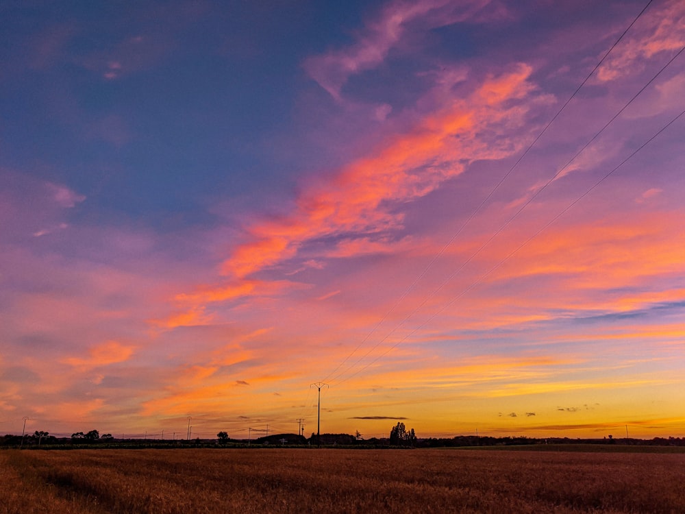 silhouette of people on field during sunset