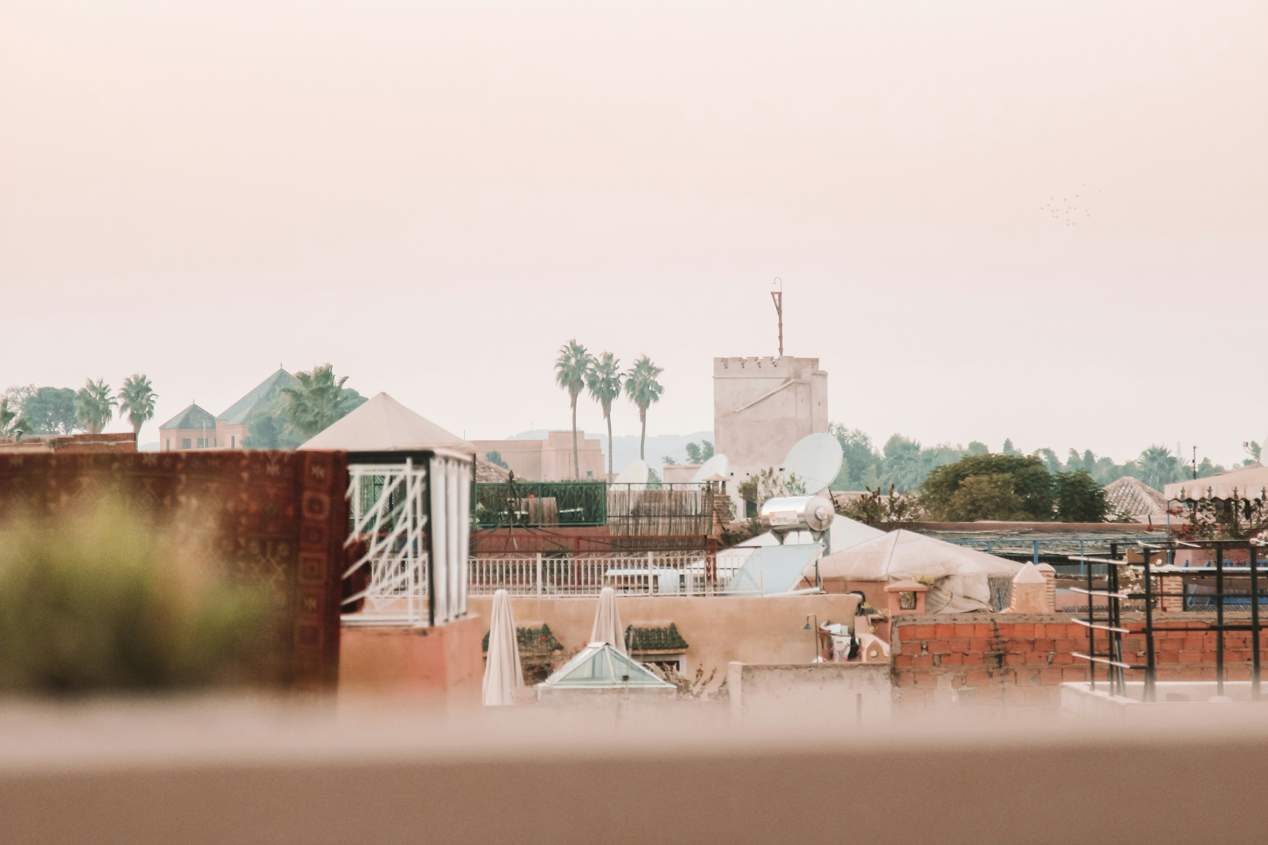 Brown and white concrete building near green trees during daytime