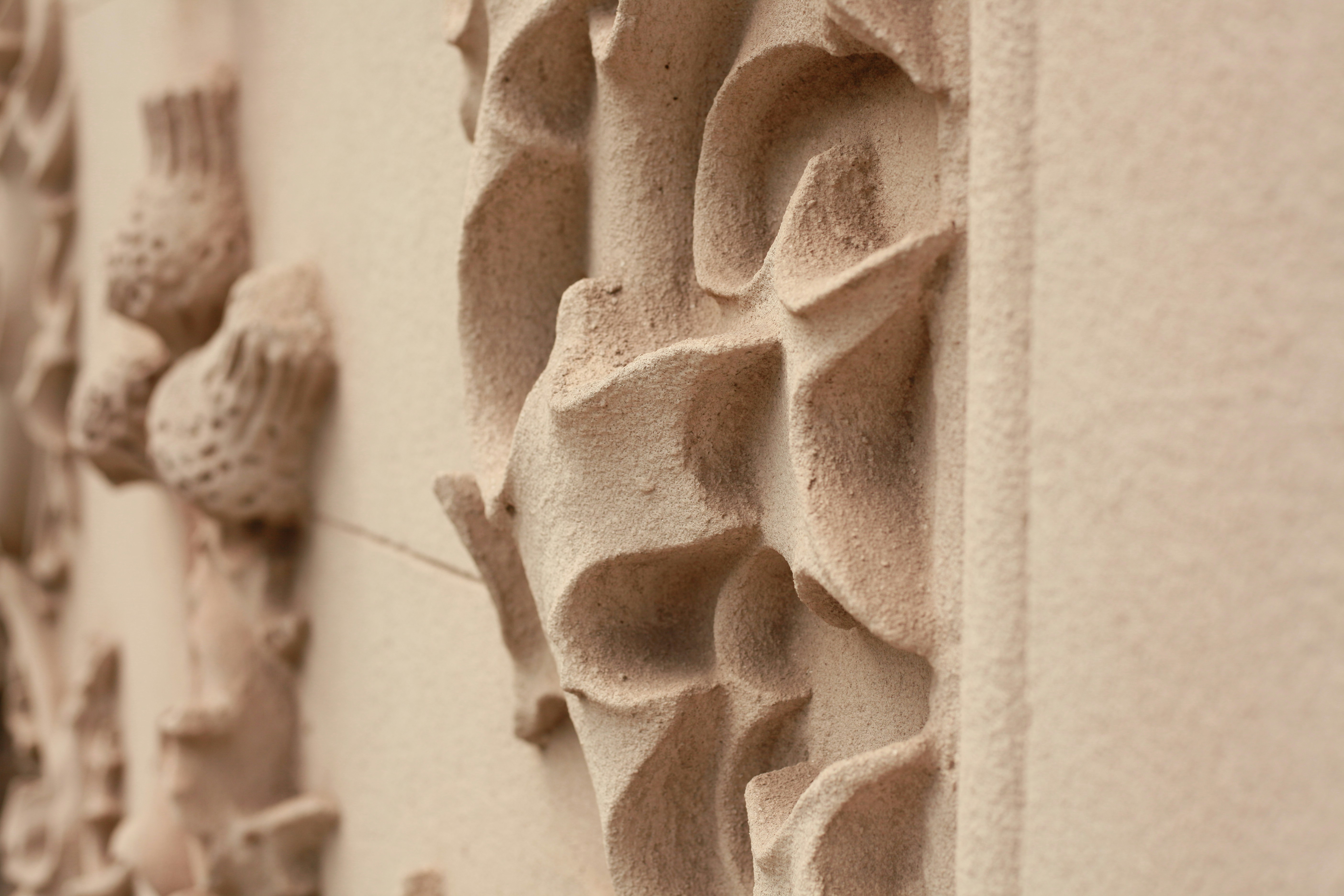 Photo by candegrafias