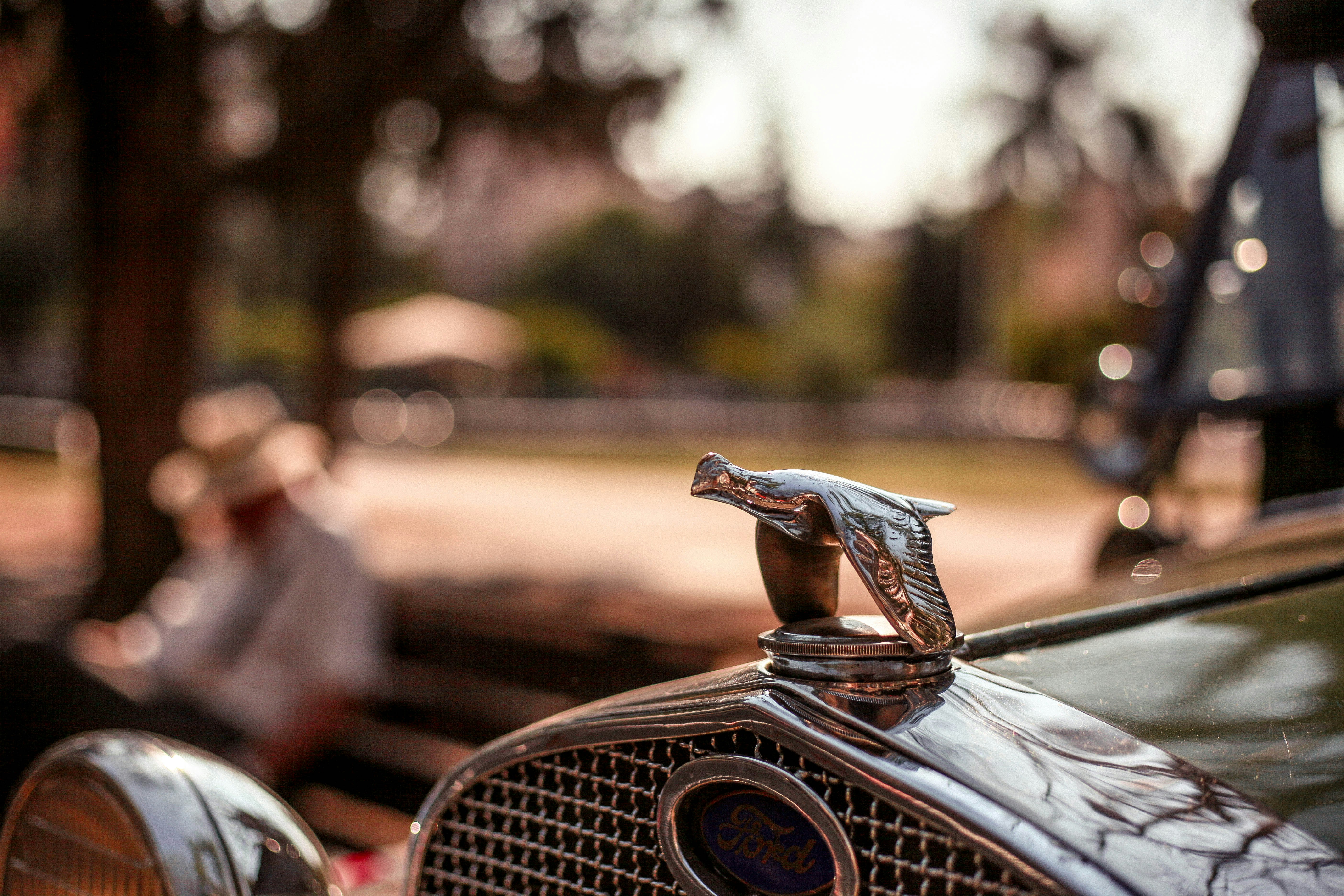 Photo by candegrafias