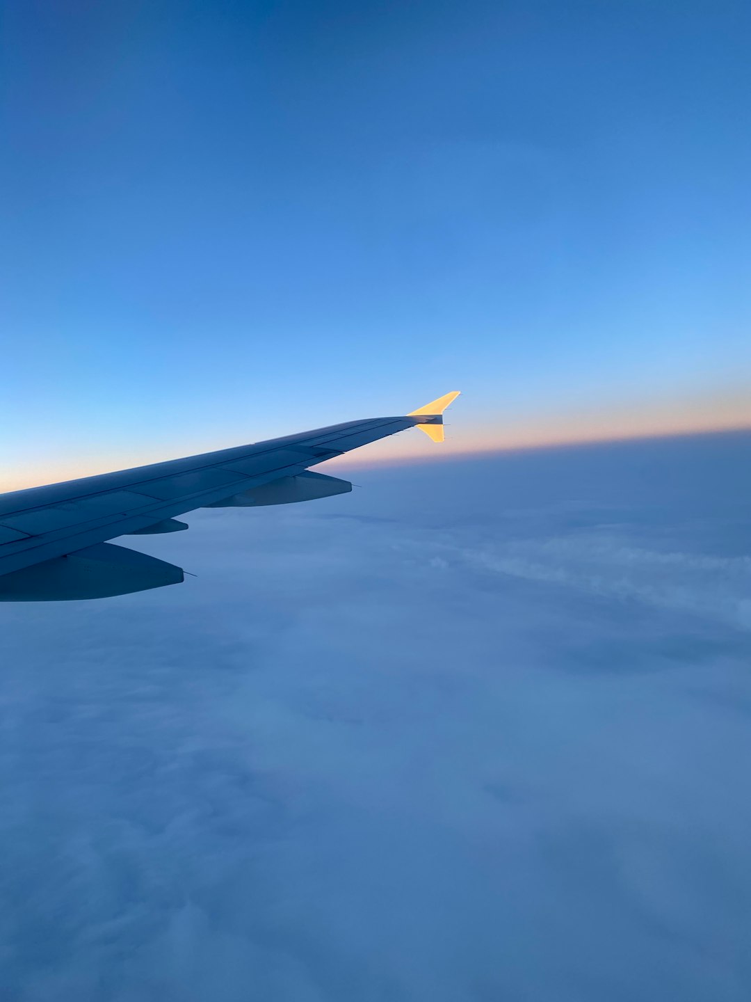 blue and yellow plane wing