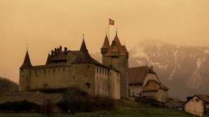 A historic stone castle with tall towers and a Swiss flag flying atop one of the spires, set against a misty backdrop of snow-capped mountains. The landscape around the castle is composed of bare trees and the rooftops of nearby houses.