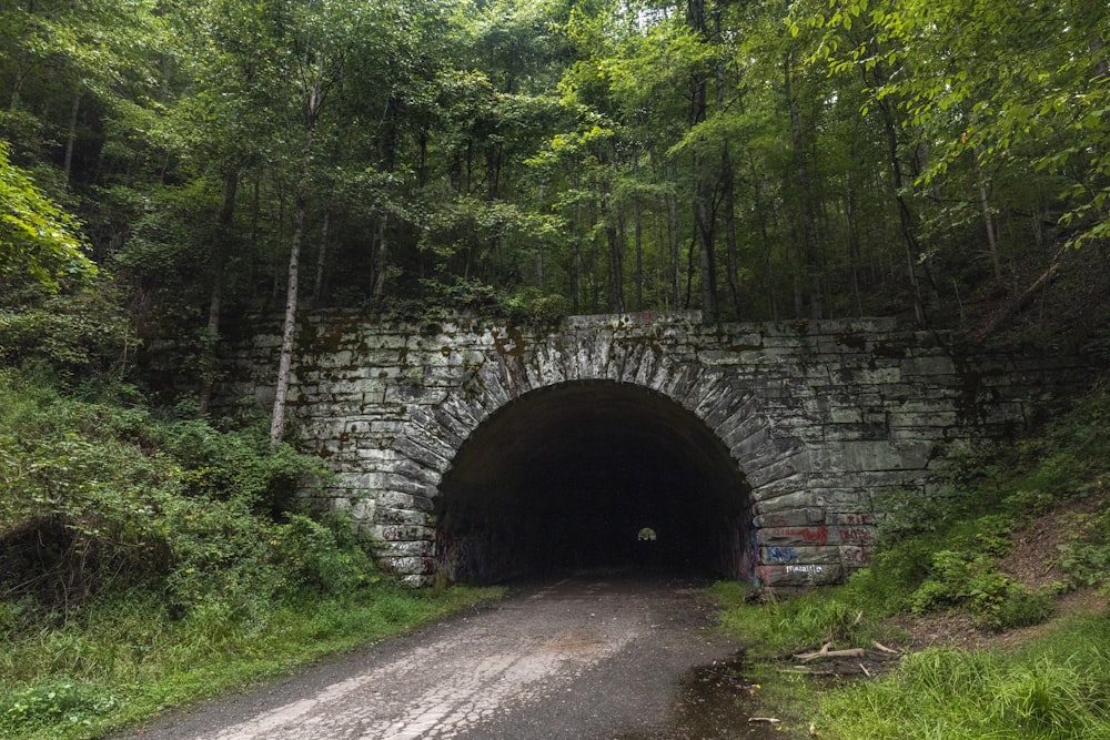 gray concrete tunnel with green trees