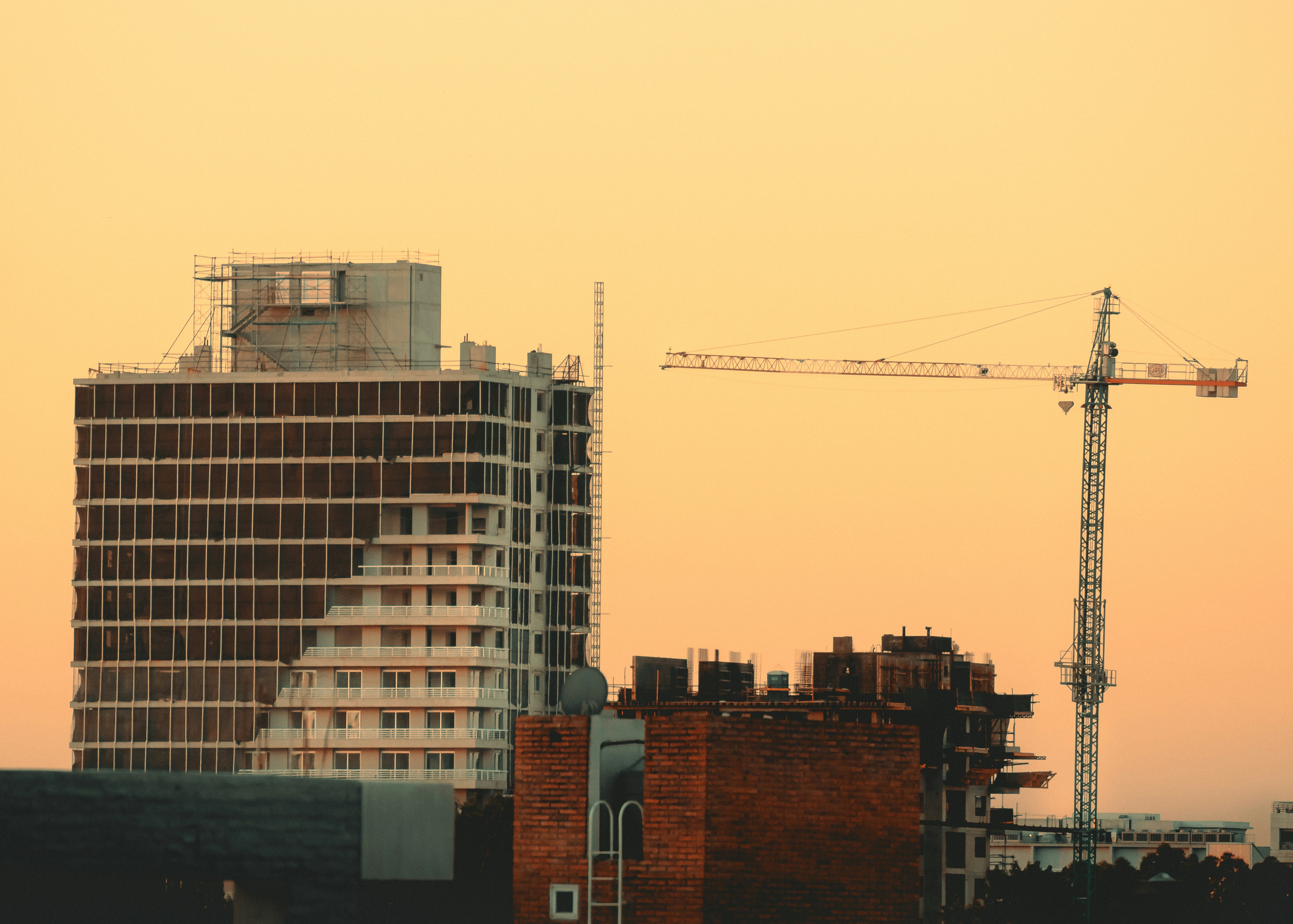 Photo by nature_of_the_experiment