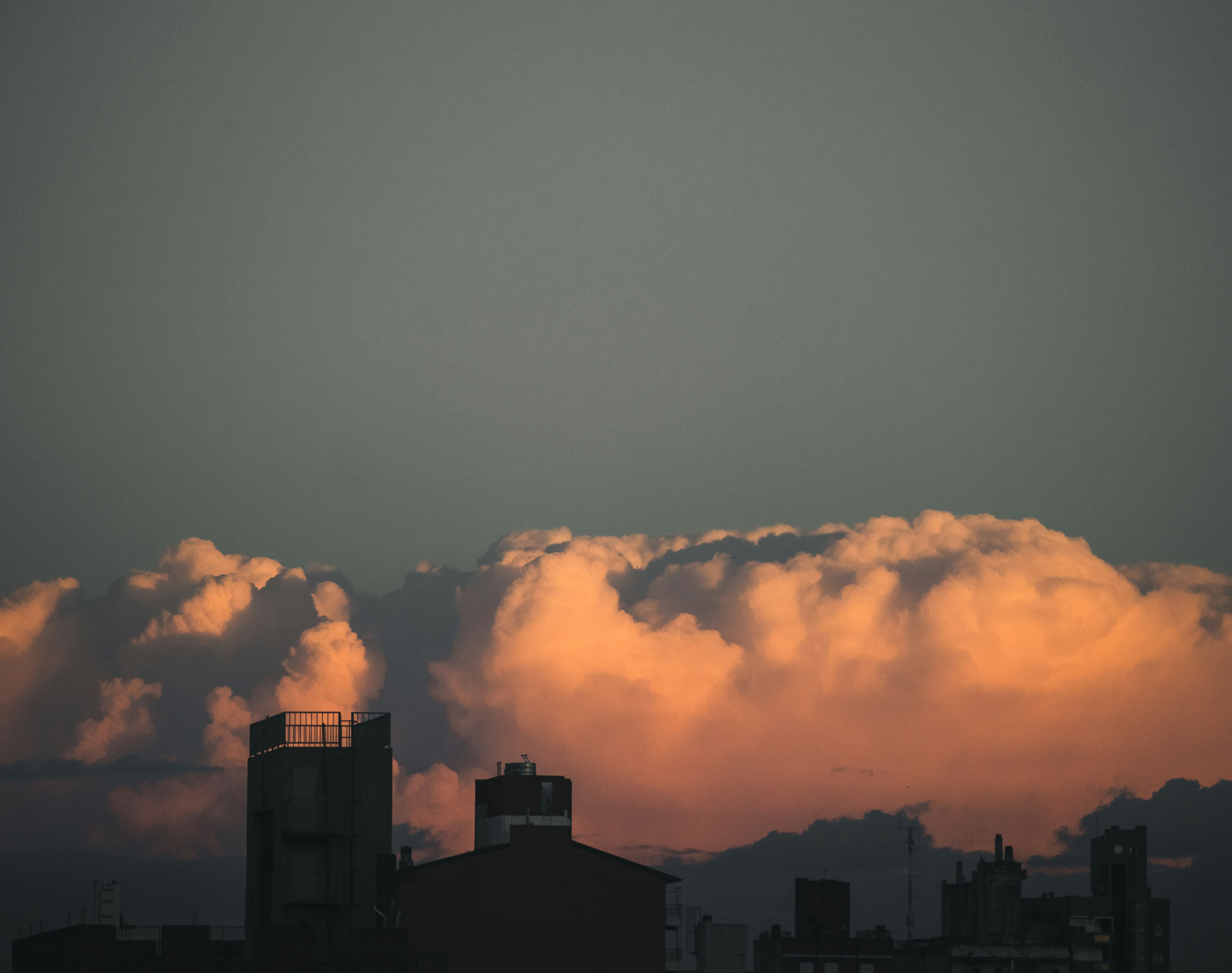 Photo by nature_of_the_experiment