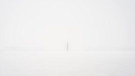 white printer paper with black line