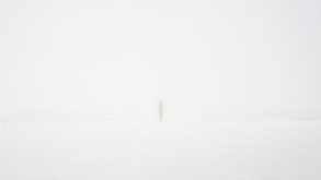 white printer paper with black line