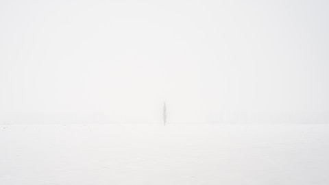 white printer paper with black line