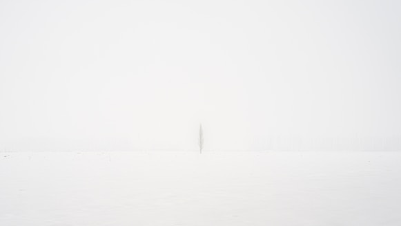 white printer paper with black line