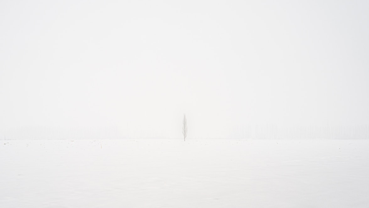 white printer paper with black line