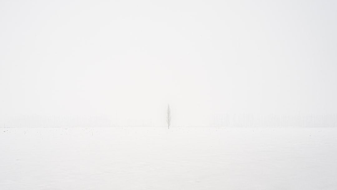 white printer paper with black line, 4k resolution for free:<p></figure>http://mtw.so/64GU9I