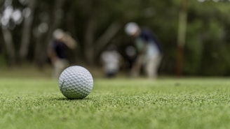 A close-up of a golf ball resting on a green lawn, with players blurred in the background practicing or preparing to play.