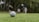 A close-up of a golf ball resting on a green lawn, with players blurred in the background practicing or preparing to play.
