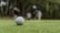 A close-up of a golf ball resting on a green lawn, with players blurred in the background practicing or preparing to play.