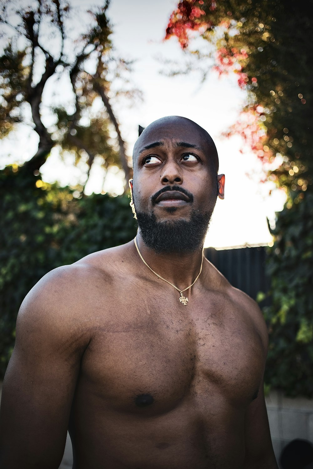 Topless Man With Silver Chain Necklace · Free Stock Photo