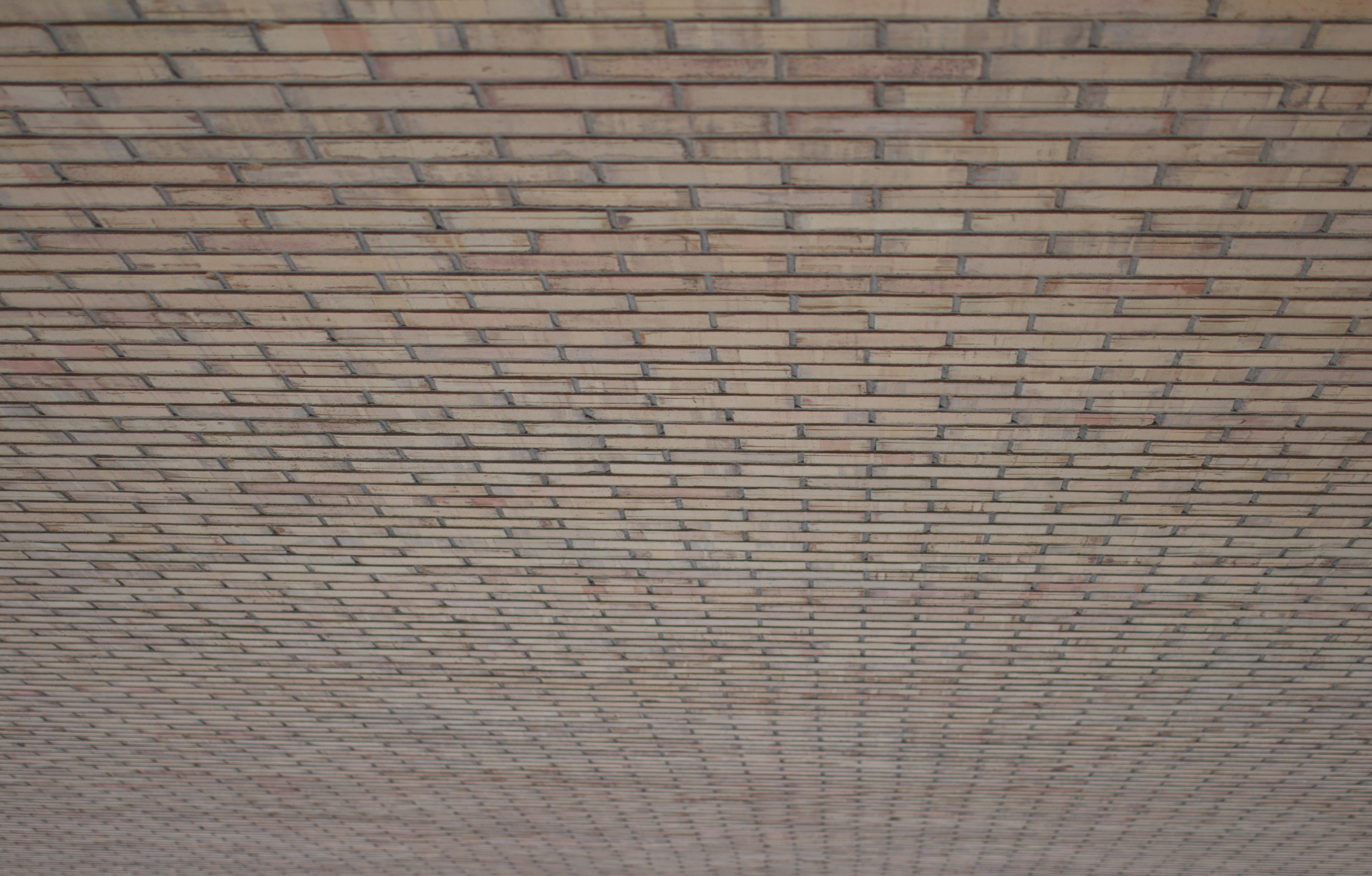 Photo by joshua_hoehne