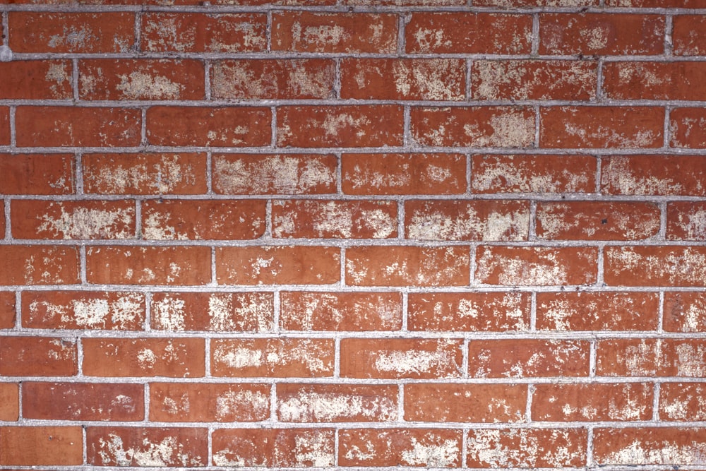 brown and white brick wall