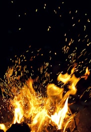 fire in the middle of the forest