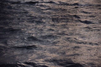 Soft moonlight reflecting on calm water at dusk, evoking quiet clarity and gentle illumination.