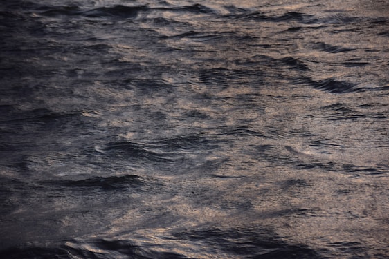 Soft moonlight reflecting on calm water at dusk, evoking quiet clarity and gentle illumination.