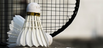 A close-up view of a shuttlecock leaning against a badminton racket with a focus on the net and feathers. The background is blurred, emphasizing the sports equipment in the foreground.