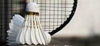 A close-up of a popular sports equipment item in use.