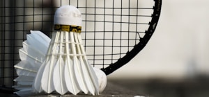 Premium Badminton Racket Set
