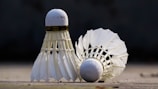 white bird figurine on white sand