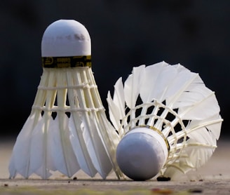 white bird figurine on white sand