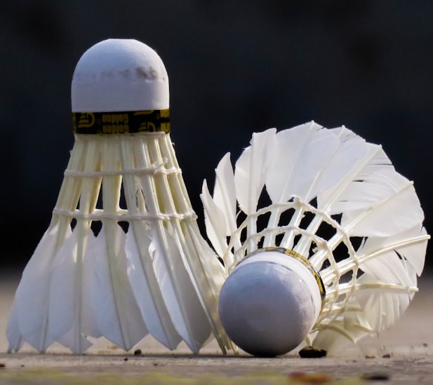 white bird figurine on white sand