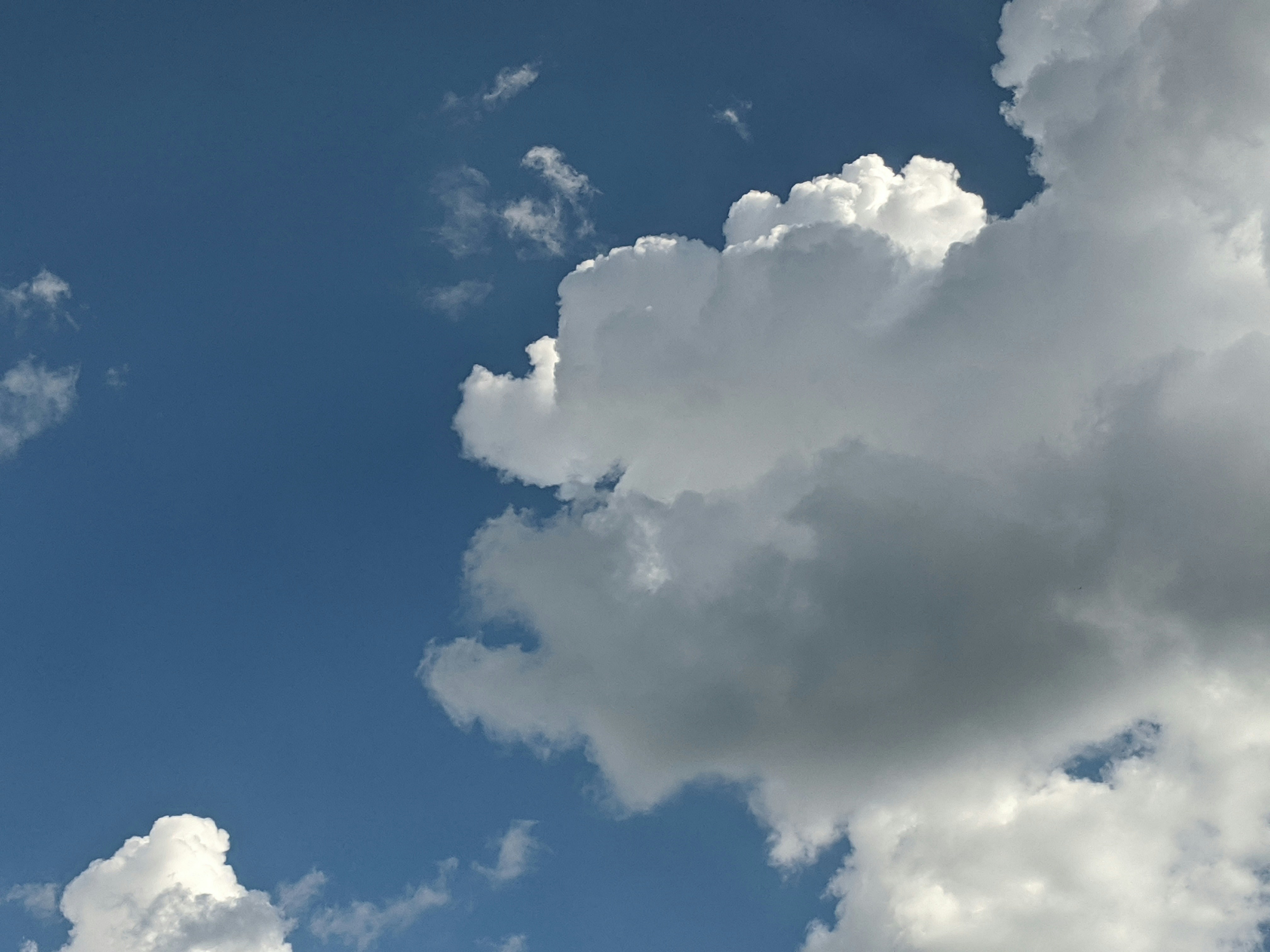 Photo by animgraphlab