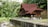 A traditional wooden house with a steep gabled roof is nestled in a lush, tropical forest. The house is elevated on stilts and features intricate wooden carvings. A small stream runs alongside the property, and the area is surrounded by dense greenery.