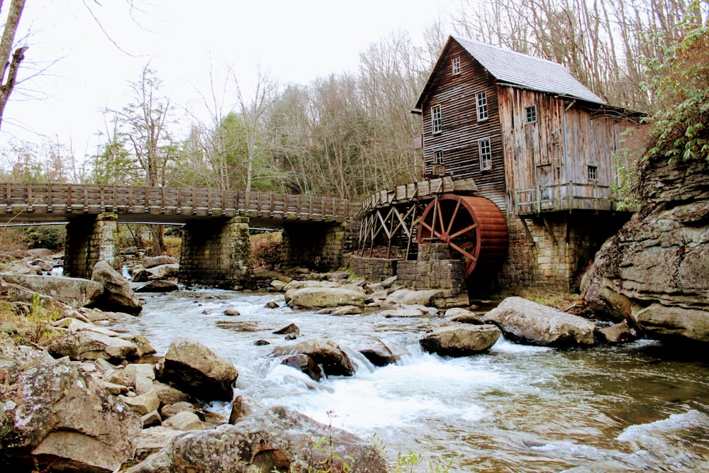 brown wooden house on river
