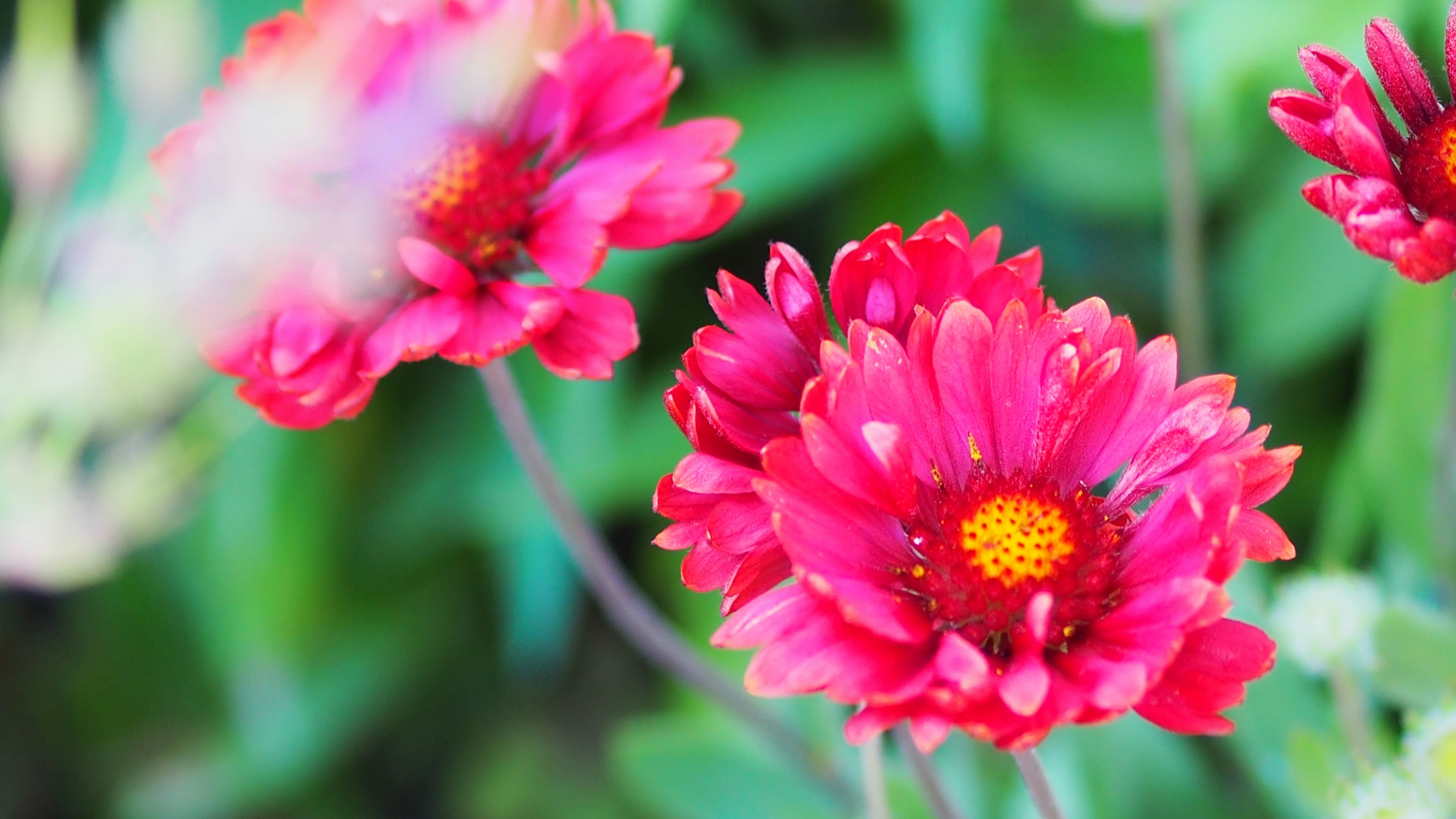 Photo by siaujiunlim