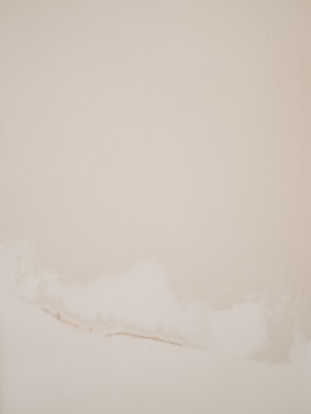 Minimalist encaustic painting showcasing soft layers of wax with delicate impressions of twigs and petals.