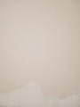 white wall paint with white wall paint