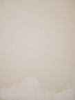 white wall paint with white wall paint